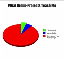 what group projects teach me Meme Template