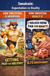 Funny Meme Meme Template