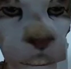 morrowind Meme Template