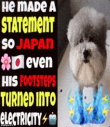 he made a statement so japan Meme Template
