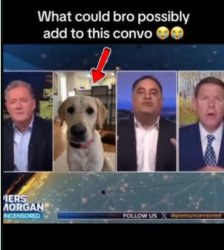 what could bro possibly add to this convo Meme Template