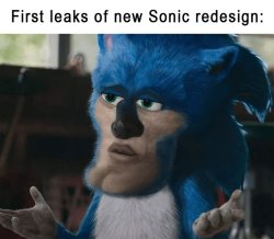 SONIC THE FUNNY_HOG Meme Template