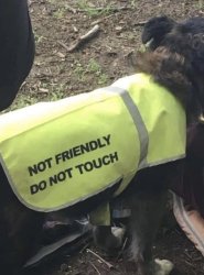 Chrisjoines1 Meme Template