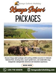 Kenya Safari Packages Meme Template