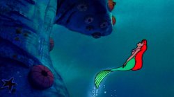 Beautiful Day Under the Sea Meme Template