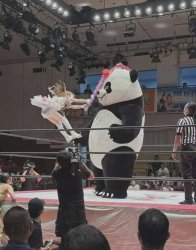 Japanese wwe Meme Template