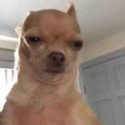 So true Meme Template