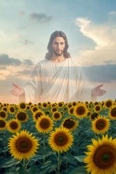 Sunflower field Jesus open arms JPP Meme Template