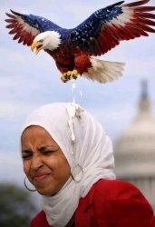 Ilhan Omar Eagle Meme Template