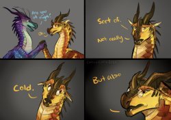 Cricket's Not Okay Meme Template