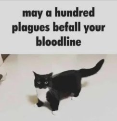 may a hundred plagues befall your bloodline Meme Template