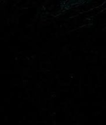 Black background Meme Template