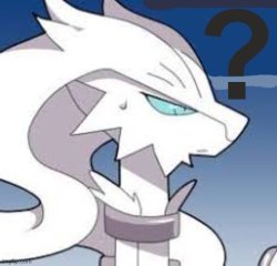confused reshiram Meme Template