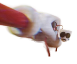 Caine Holding Gangle Meme Template