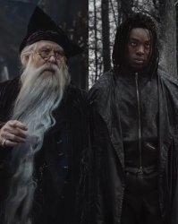 Dumbledore Meme Template