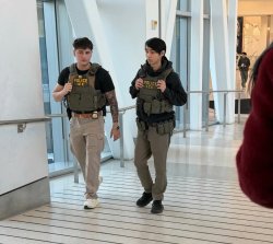 Young ICE agents at the Airport as TSA help Meme Template