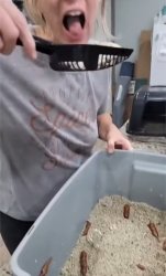 Eating cat litter Meme Template