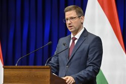 Gulyas Gergely Meme Template