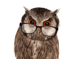 Biblo The Elbaph Owl Meme Template