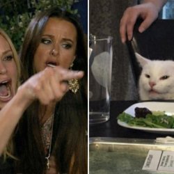 <img src="https://s3.amazonaws.com/imagenespantv/noticia/2019/08 Meme Template