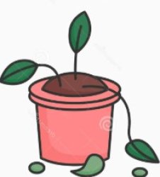 house plant Meme Template