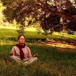 Dwight at peace Meme Template