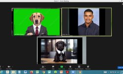 school interviews Meme Template