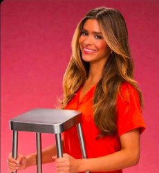 Bachelorette Chair Meme Template