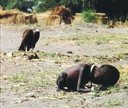 Vulture and Child Meme Template