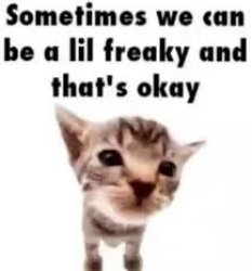 Sometimes we can be a lil freaky and that's okay Meme Template