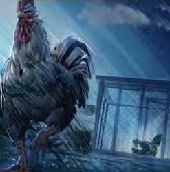 Rooster Fighter Meme Template