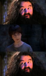 Wizard harry Meme Template