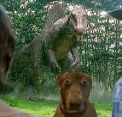 Dino and dog Meme Template