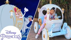 Cinderella Pumpkin Carriage Mexican Fair Rides Meme Template