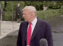 Trump confused Meme Template