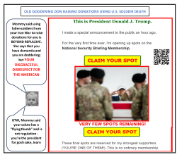 Old Doddering Don Disrespect for Fallen US Soldiers Meme Template