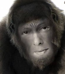 Salman khan monkey Meme Template