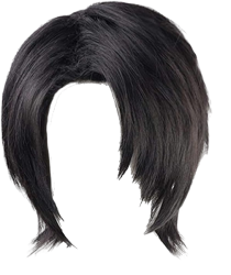 Yuta Okkotsu’s Wig Meme Template