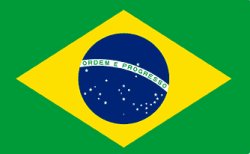 Bandeira do Brasil Meme Template