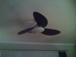 harbor breeze avian custom blades ceiling fan Meme Template