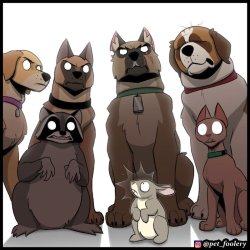 Animals staring at rabbit Meme Template