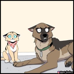 Pixie & Brutus Reaction Stare Meme Template