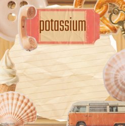 template (thanks shira) Meme Template