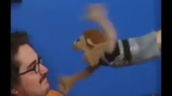 Brooklyn guy Screaming at Tito Meme Template