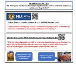 Big Lie 2 - Criminal Immigrants Meme Template