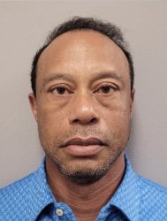 Tiger Woods Mugshot Meme Template