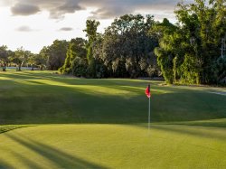 15th Hole @ 7 Springs Meme Template