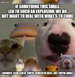 council message Meme Template