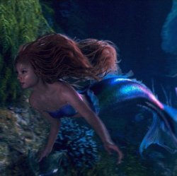 ugly ariel Meme Template