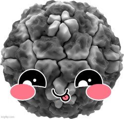 Silly Little Virus Meme Template